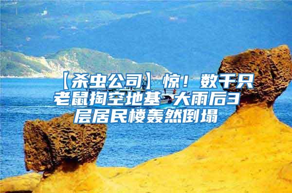 【殺蟲公司】驚！數(shù)千只老鼠掏空地基 大雨后3層居民樓轟然倒塌
