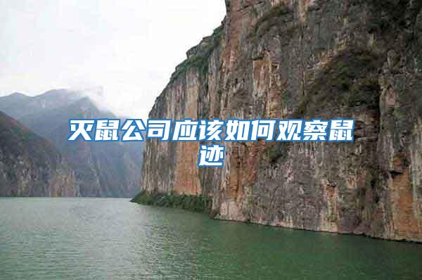 滅鼠公司應(yīng)該如何觀察鼠跡