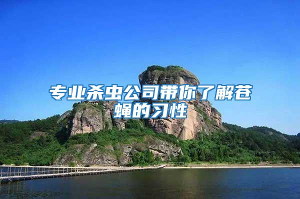 專業(yè)殺蟲(chóng)公司帶你了解蒼蠅的習(xí)性