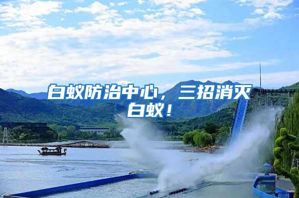 白蟻防治中心，三招消滅白蟻！