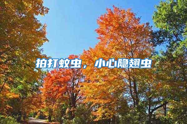 拍打蚊蟲，小心隱翅蟲