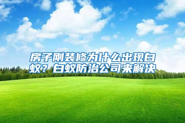 房子剛裝修為什么出現(xiàn)白蟻？白蟻防治公司來解決