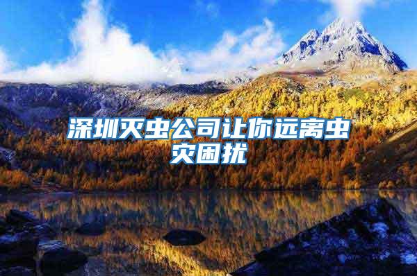 深圳滅蟲公司讓你遠(yuǎn)離蟲災(zāi)困擾