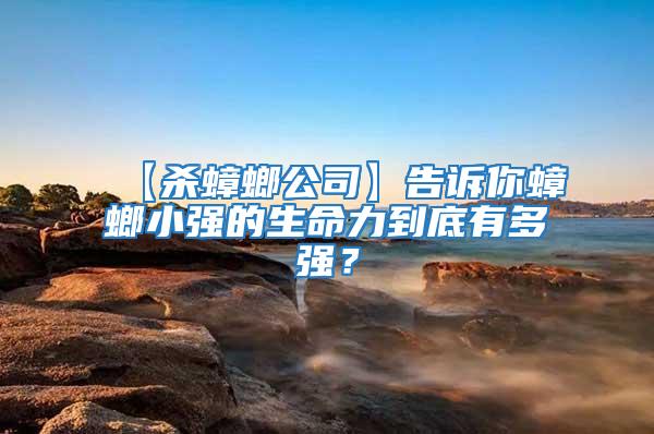 【殺蟑螂公司】告訴你蟑螂小強的生命力到底有多強？