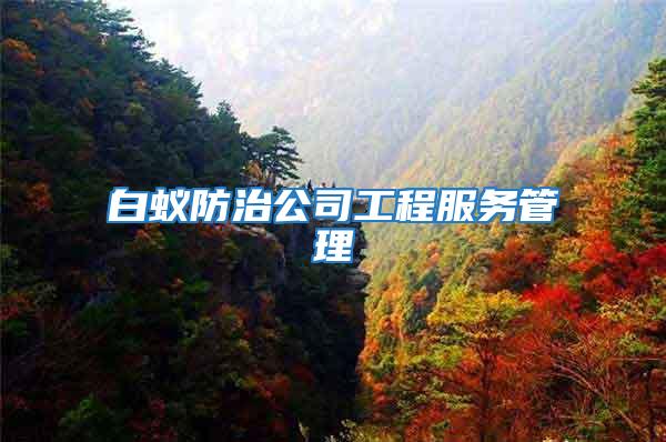 白蟻防治公司工程服務(wù)管理