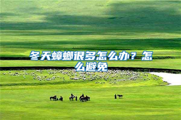 冬天蟑螂很多怎么辦？怎么避免