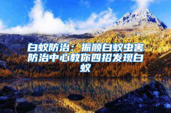白蟻防治：振順白蟻蟲(chóng)害防治中心教你四招發(fā)現(xiàn)白蟻