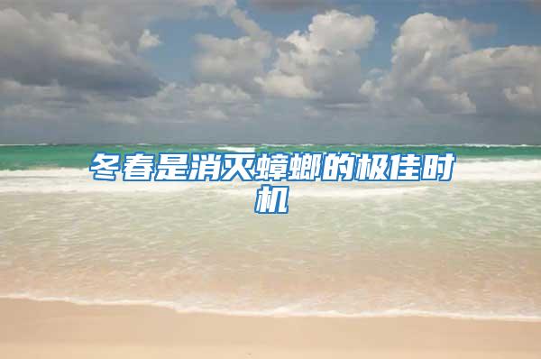 冬春是消滅蟑螂的極佳時機(jī)