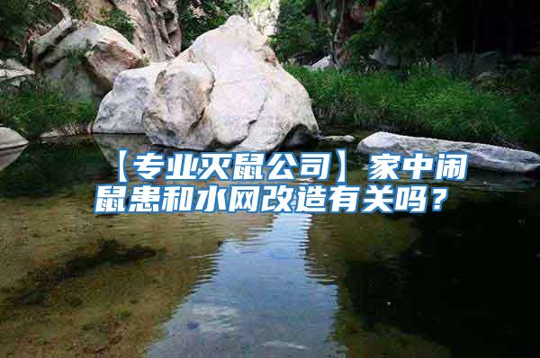 【專業(yè)滅鼠公司】家中鬧鼠患和水網(wǎng)改造有關嗎？