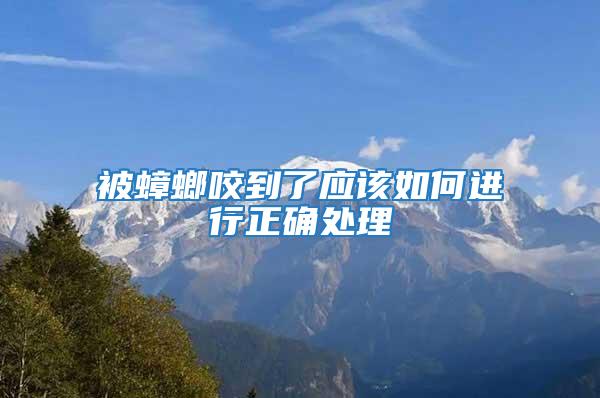 被蟑螂咬到了應(yīng)該如何進(jìn)行正確處理