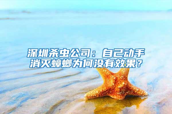 深圳殺蟲公司：自己動手消滅蟑螂為何沒有效果？