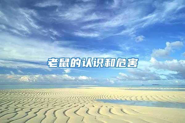 老鼠的認(rèn)識和危害
