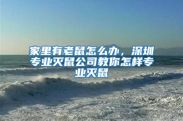 家里有老鼠怎么辦，深圳專業(yè)滅鼠公司教你怎樣專業(yè)滅鼠