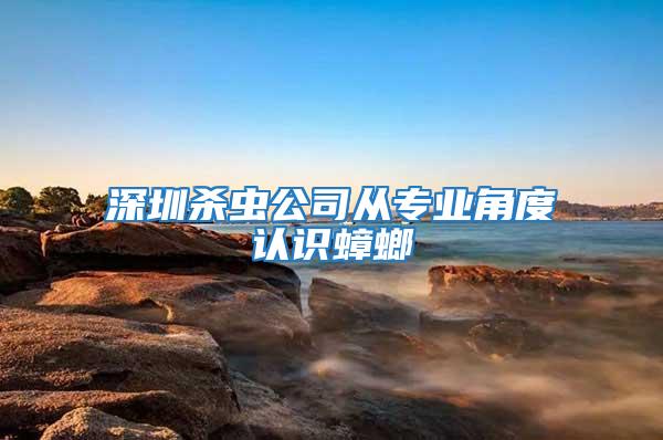 深圳殺蟲(chóng)公司從專(zhuān)業(yè)角度認(rèn)識(shí)蟑螂