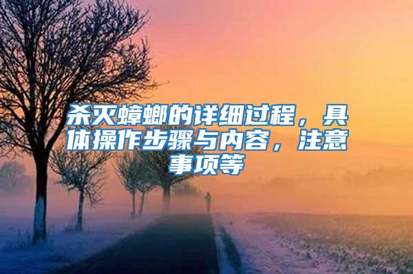 殺滅蟑螂的詳細過程，具體操作步驟與內(nèi)容，注意事項等