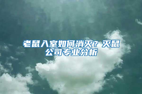老鼠入室如何消滅？滅鼠公司專業(yè)分析