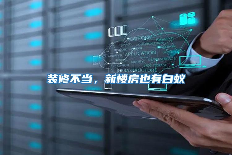 裝修不當，新樓房也有白蟻