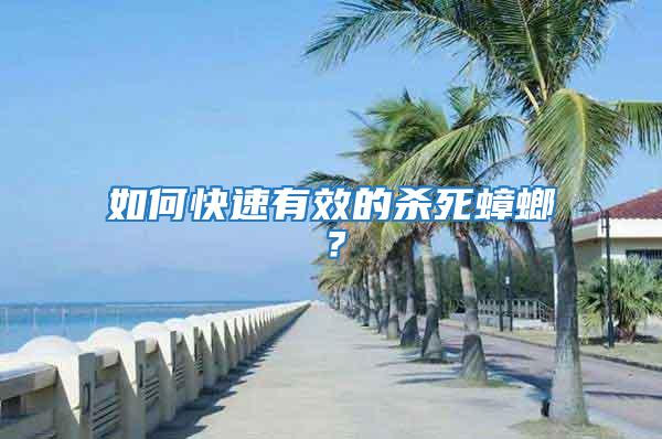 如何快速有效的殺死蟑螂？