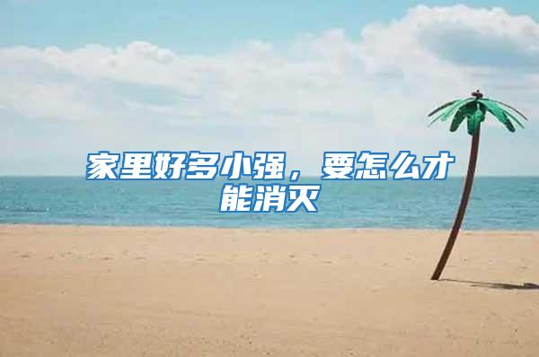 家里好多小強(qiáng)，要怎么才能消滅