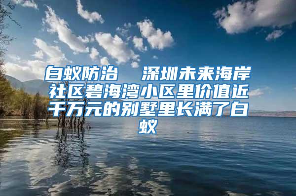 白蟻防治  深圳未來(lái)海岸社區(qū)碧海灣小區(qū)里價(jià)值近千萬(wàn)元的別墅里長(zhǎng)滿了白蟻