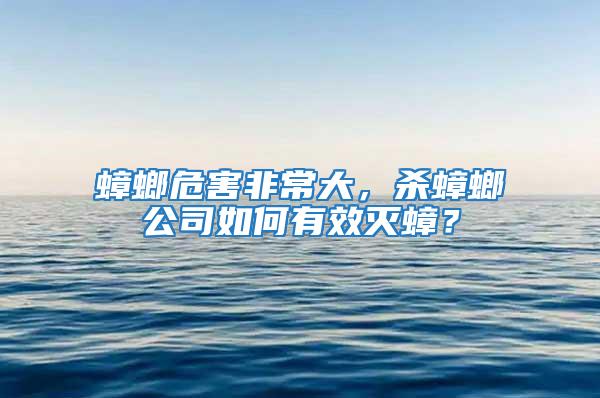 蟑螂危害非常大，殺蟑螂公司如何有效滅蟑？
