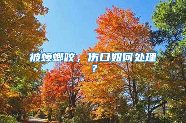 被蟑螂咬，傷口如何處理？