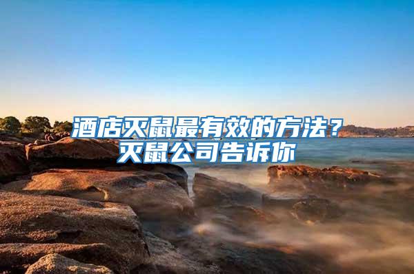酒店滅鼠最有效的方法？滅鼠公司告訴你