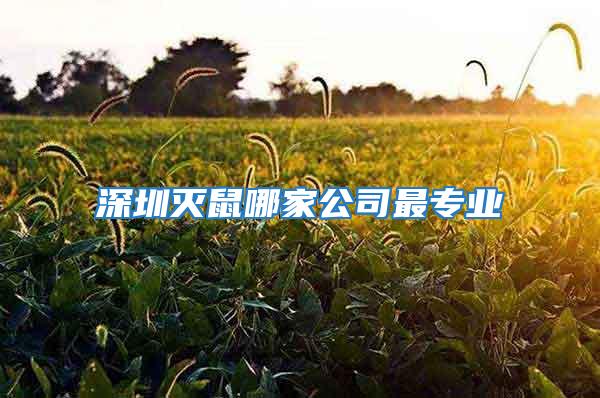 深圳滅鼠哪家公司最專業(yè)