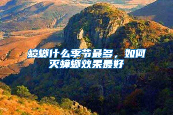 蟑螂什么季節最多，如何滅蟑螂效果最好