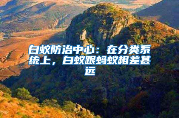 白蟻防治中心：在分類系統(tǒng)上，白蟻跟螞蟻相差甚遠(yuǎn)