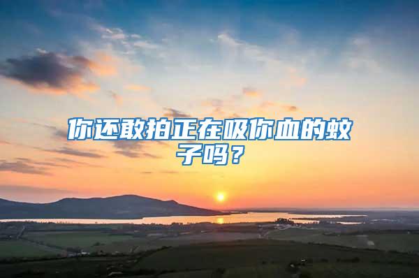 你還敢拍正在吸你血的蚊子嗎？