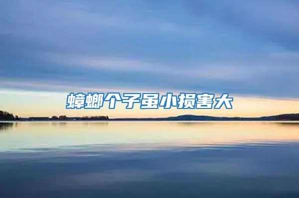 蟑螂個(gè)子雖小損害大