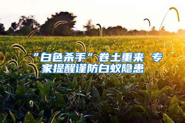 “白色殺手”卷土重來 專家提醒謹(jǐn)防白蟻隱患