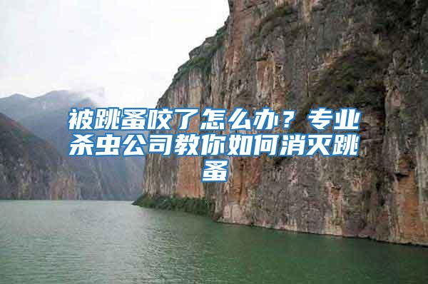 被跳蚤咬了怎么辦？專業(yè)殺蟲(chóng)公司教你如何消滅跳蚤