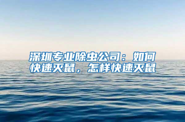 深圳專業除蟲公司：如何快速滅鼠，怎樣快速滅鼠
