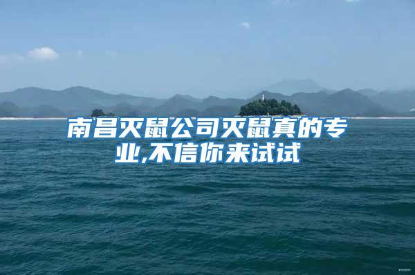 南昌滅鼠公司滅鼠真的專業(yè),不信你來試試