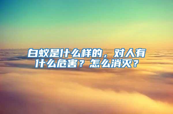 白蟻是什么樣的，對人有什么危害？怎么消滅？
