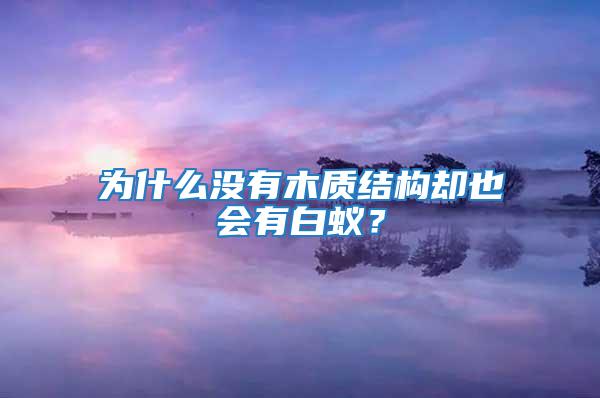 為什么沒有木質結構卻也會有白蟻？