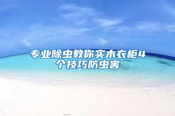 專業(yè)除蟲教你實(shí)木衣柜4個(gè)技巧防蟲害