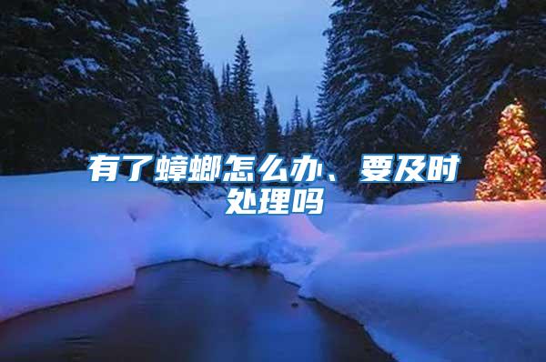 有了蟑螂怎么辦、要及時處理嗎