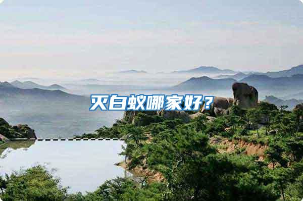 滅白蟻哪家好？