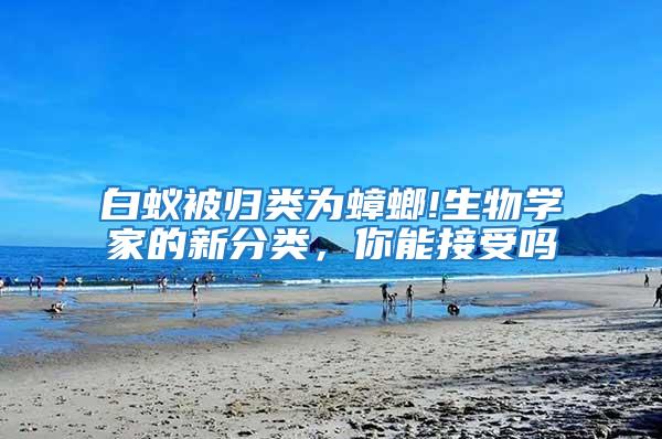 白蟻被歸類為蟑螂!生物學家的新分類，你能接受嗎