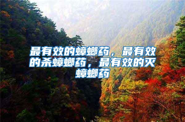 最有效的蟑螂藥，最有效的殺蟑螂藥，最有效的滅蟑螂藥