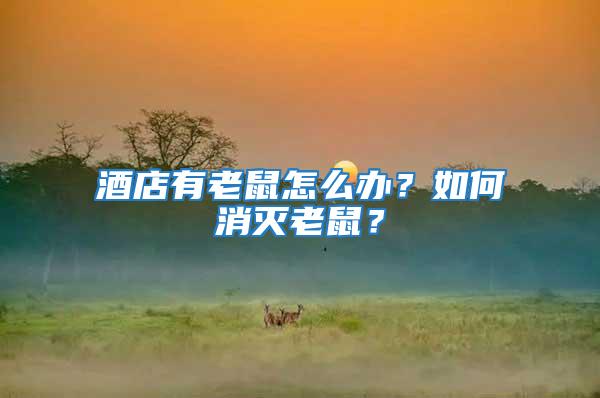 酒店有老鼠怎么辦？如何消滅老鼠？