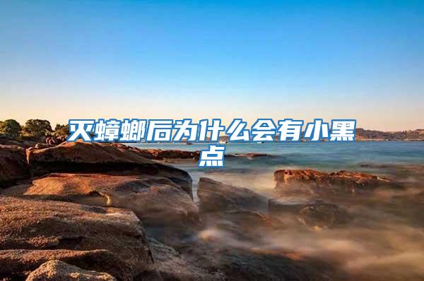 滅蟑螂后為什么會有小黑點(diǎn)