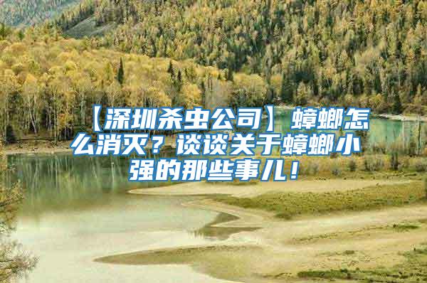 【深圳殺蟲公司】蟑螂怎么消滅？談?wù)勱P(guān)于蟑螂小強的那些事兒！
