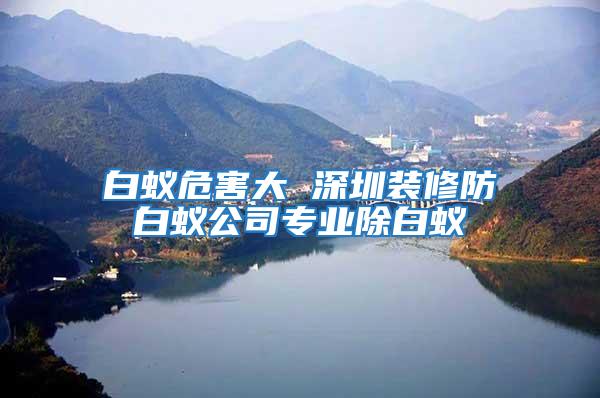 白蟻危害大 深圳裝修防白蟻公司專業除白蟻