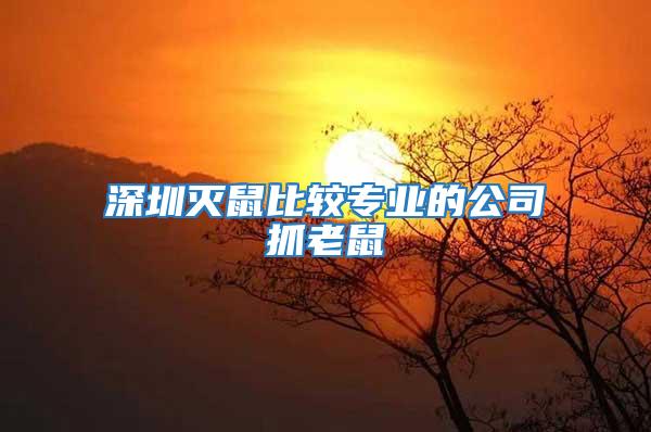 深圳滅鼠比較專(zhuān)業(yè)的公司抓老鼠