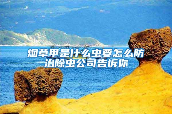 煙草甲是什么蟲(chóng)要怎么防治除蟲(chóng)公司告訴你