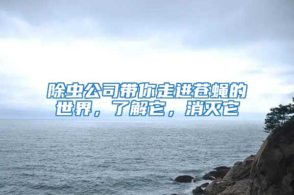 除蟲公司帶你走進蒼蠅的世界，了解它，消滅它
